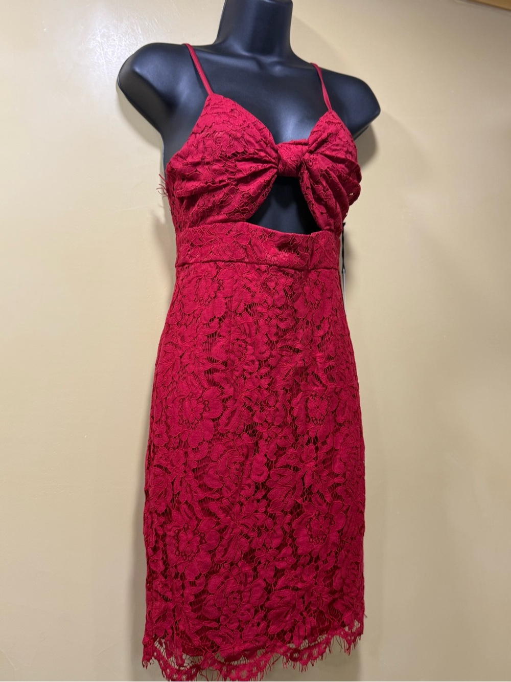 Forever 21 Red Lace Bow-Accent Dress